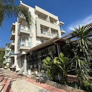 book here